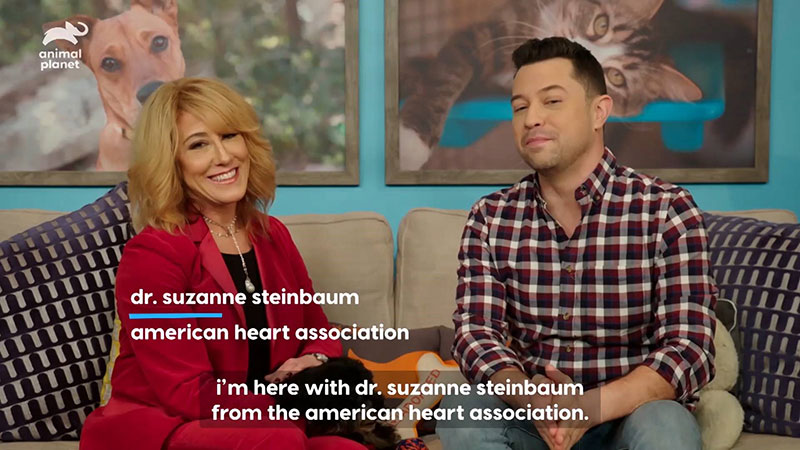 Animal Planet video screenshot Animal Planet video screenshot