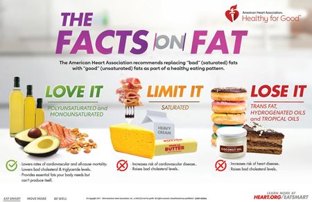 The facts on fats infographic The facts on fats